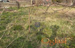 Odlican plac na Alibegovcu!