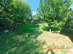 Vikendica - Petrovaradin, Puckaroš