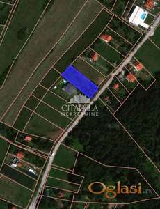 Barajevo - Stara Lipovica ID#2338