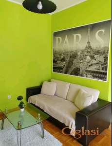 ADAMOVIĆEVO NASELJE IZDAJE SE JEDNOIPOSOBAN NAMEŠTEN STAN