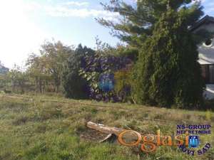 412967-Plac-220m2-Čurug