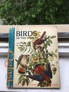 Birds of the World, Eunice Holsaert, Knjiga za decu,