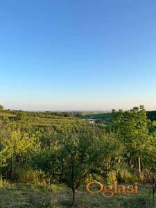 Vocnjak u vikend naselju, Mutalj