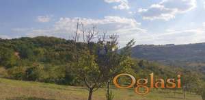 Predstavljamo Vam fantastičan plav na odličnoj lokaciji.