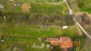 Plac pravilnog oblika - Sremska Kamenica, Glavica