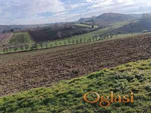 Zemljiste 32234m2 Sremski Karlovci - Raša