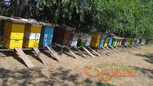 Košnice LR sa 2 i 3 nastavka+Oprema za Vrcanje Meda