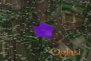 Izdajem vinograd i njivu 1.69 ha, Stubla, Bojnik