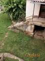 Seosko domacinstvo sa kućom 92m2 i placem 1606m2, Goli Rid