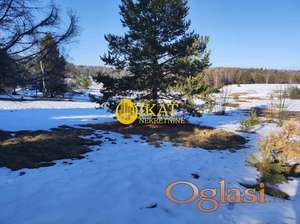 Divčibare, Beogradsko naselje, plac, 8,3ari ID#4952