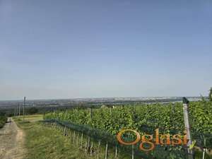 ODLIČAN PLAC, RAKOVAC