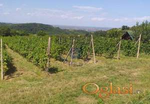 516149-Plac-7990m2-Ledinci