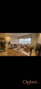 Cvijićeva, 2.0 namešten, pet friendly ID#6637