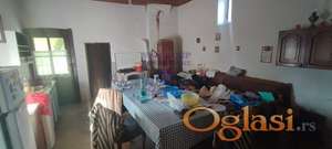 Rumenka. Nekretnina sa velikim potencijalom. Odlična pozicija.