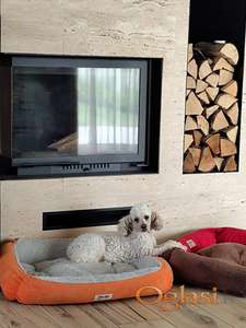 Čuvanje malih rasa pasa