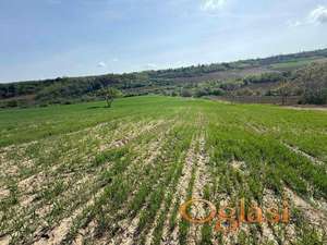 Na prodaju plac, Maradik. 1261m2.