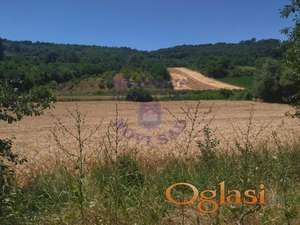 Poljoprivredno zemljište, pod voćem i žitaricama!