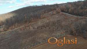 Odlična ponuda! Plac 20503m2, Topola