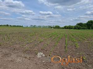 Poljoprivredno zemljište Čenej 2.68ha PRODAJE SE
