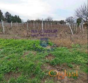 Odličan plac u Petrovaradinu!