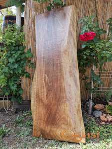 Orah talpa daska za sto