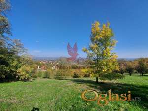 Prelep plac sa bunarom i zasadom šljiva, sadnicama lešnika i oraha #P828 #1731