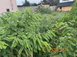 Plac na Klisi,2386m2