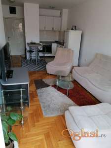LEP,SVETAO,NAMEŠTEN JEDNOIPOSOBAN STAN NA NOVOJ DETELINARI 350 EVRA