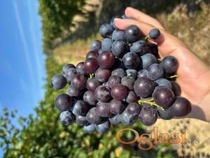 Prodajem groždje za vino i rakjju