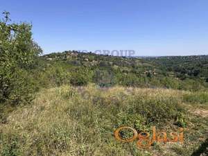 Prodaje se plac u Ledincima 1289m2
