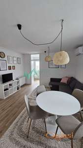 Liman 3, renoviran jednoiposoban stan blizu fakulteta 