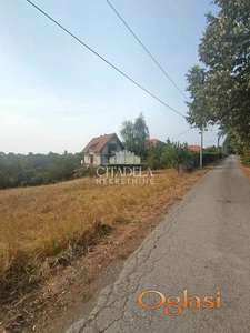 Stara Lipovica - Ćirin put ID#2359