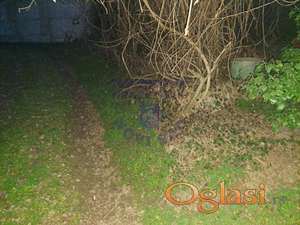 Plac je uknjižen 1/1 kao vinograd 3.klase