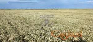 Plac sa odličnom pozicijom u Elemiru.