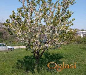 Odličan plac u Sremskim Karlovcima!