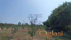 Dobar,veliki plac u Kacu