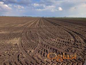 Plodno poljoprivredno zemljište u Indjiji