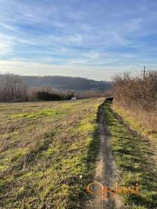 Plac u Ledincima 6600m2