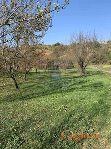 Fantastičan plac na Čardaku