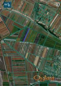 Njiva u ataru sela Lok