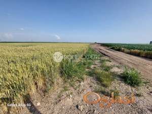 INĐIJA - CENTAR - 50000.00 m2