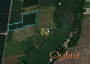 Ekskluzivna investiciona prilika: Voćnjak pod jabukom u blizini Borkovačkog jezera