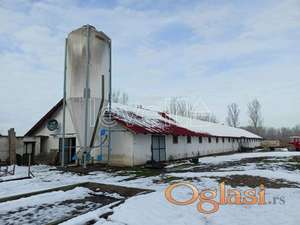 MOŠORIN - MOŠORIN - 730.00 m2