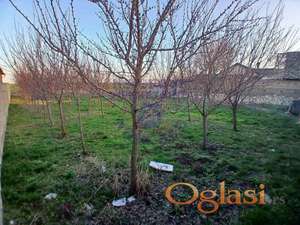 Temerin , plac 756m2