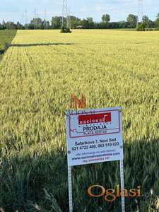 PUT prema Rumenci GRADJEVINSKI PLAC sa izlazom na glavni put kod ENMON keramike