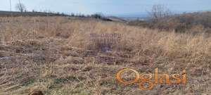 554392-Prodaje se ravan plac,pravilnog oblika sa lepim pogledom na Bačku
