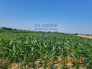 Plac odlican u Futogu