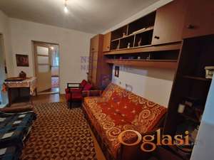 Starija kuca na klisi