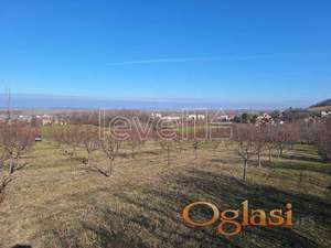 BEOČIN - BEOČIN - 7524.00 m2