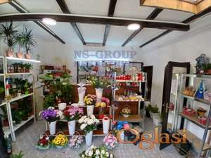 Lokal u Beočinu 62m2
